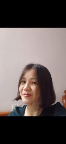 Hồ Ly T