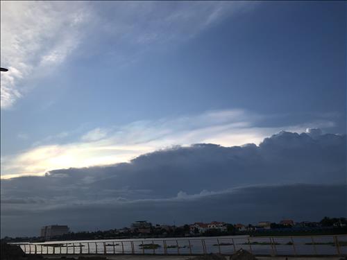 Dã Quỳ