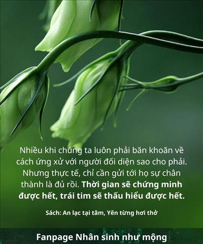 Thanh Hà