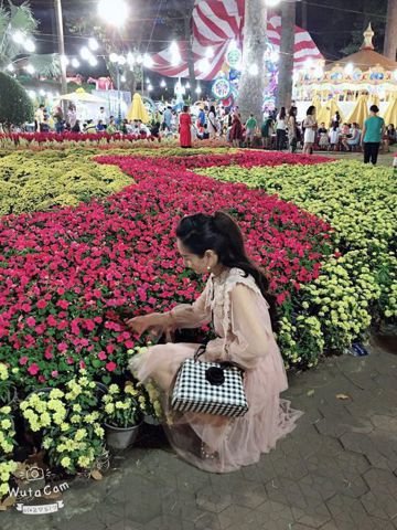 Cỏ Dại