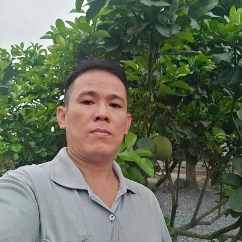 Thuyền không bến