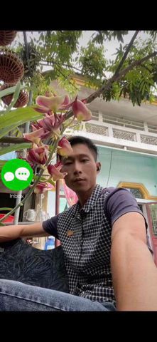 Tuấn