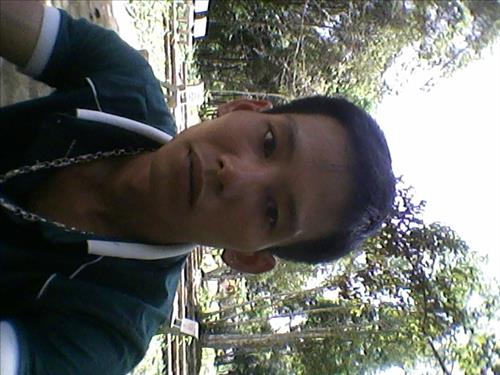 đình đại