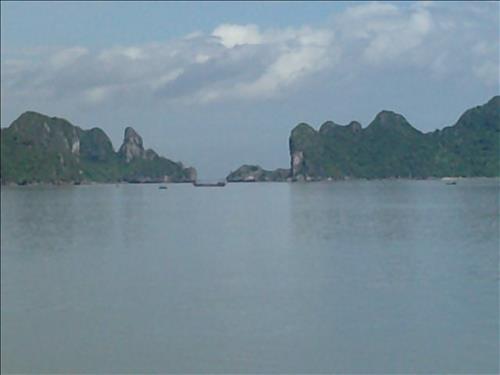 Mạnh Chu