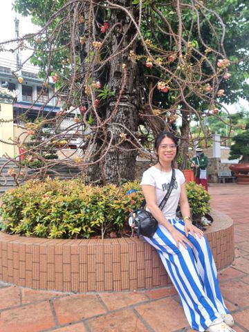 Hoanh Bùi