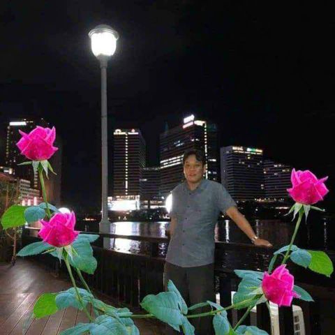 Mai xuân Đảm