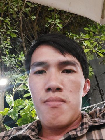 trang minh vũ