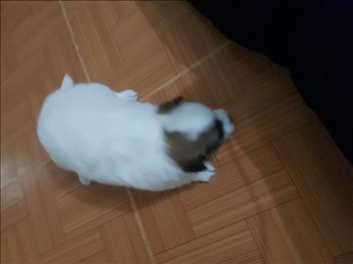 Sơn Long