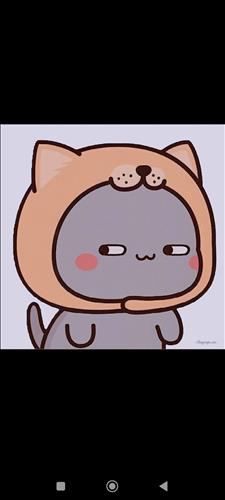 Bảo