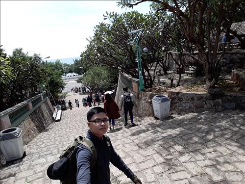 Huy Chương Vũ Mai