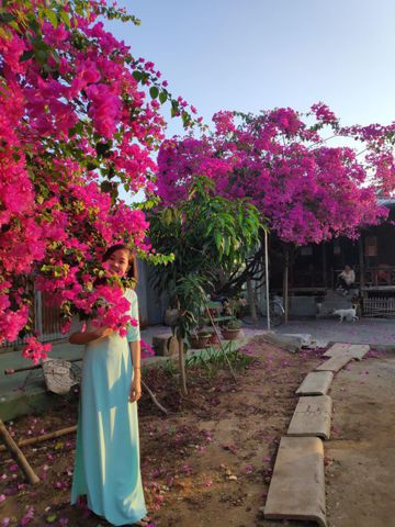 Quỳnh Giao