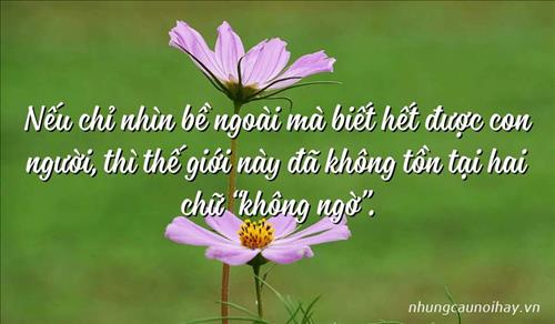 Thanh Thảo