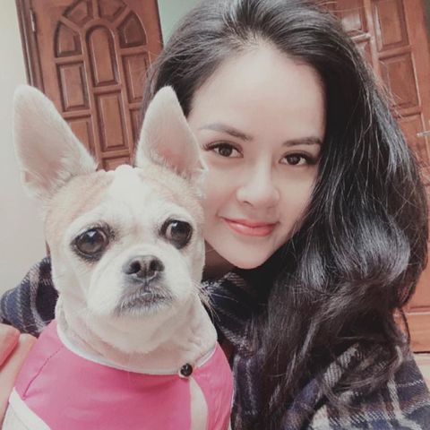 Bảo anh