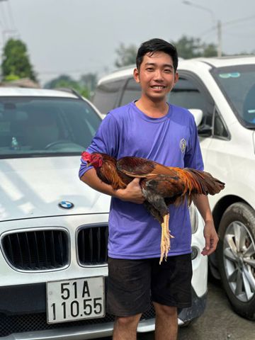 Bảo