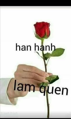 Anh Hải Đỗ