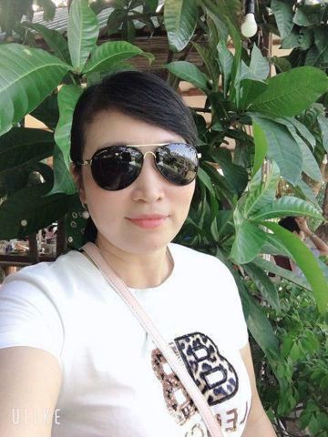 Hồ mai