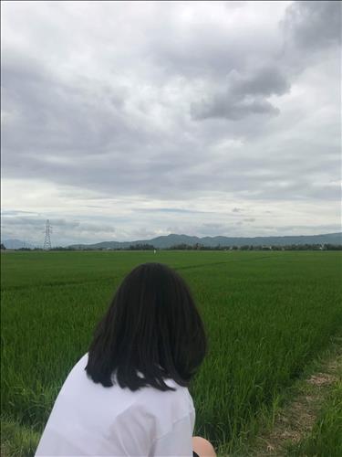 linh nguyễn