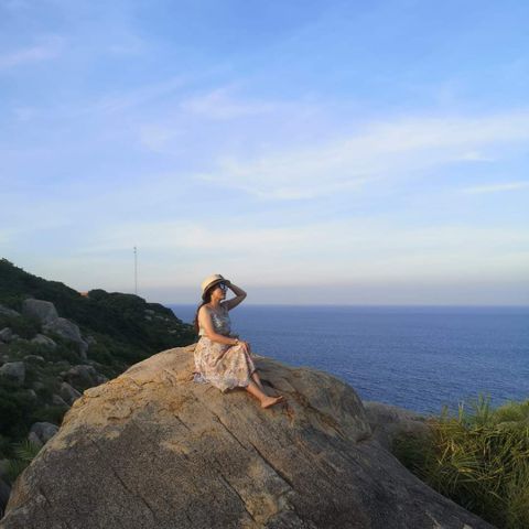 Linh Linh
