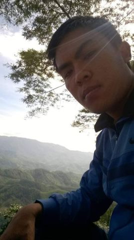 trần thống