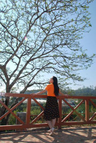 Trang
