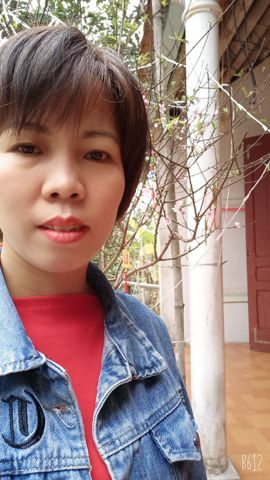Mai linh