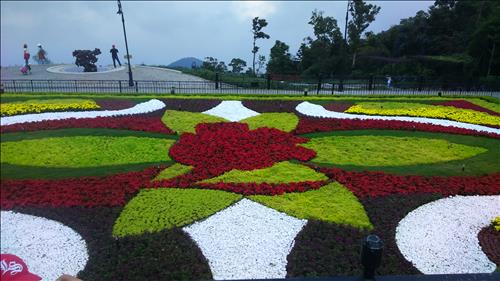 tuấn