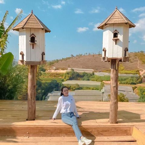 Thương
