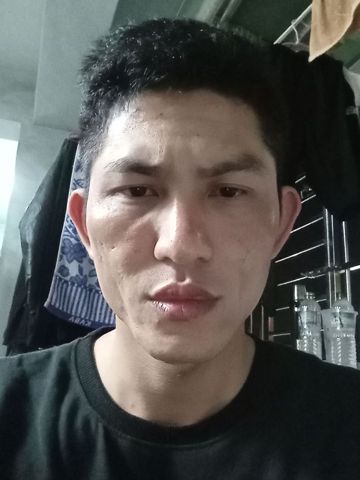 Long tiểu phụng