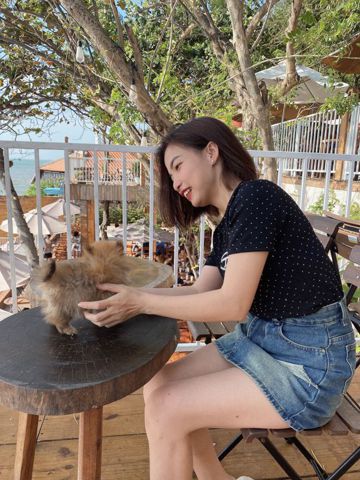 Ngo oanh