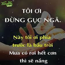Mr Đoàn
