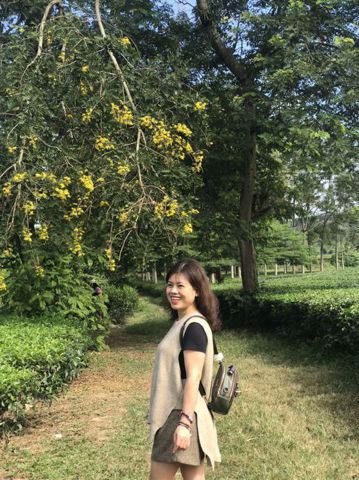Linh Linh