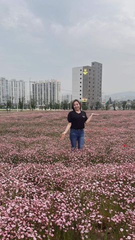 Phương Chi