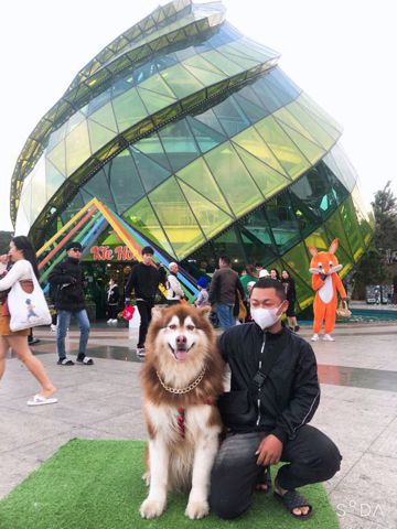 Trịnh Đức Lộc