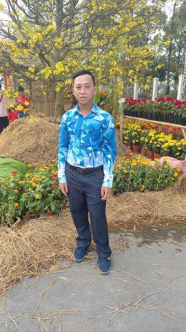 hoàng anh