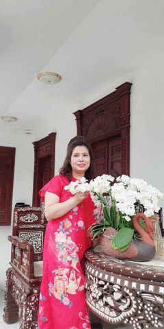 1972  ko tìm nữa