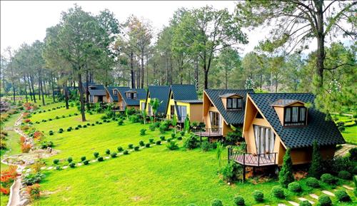 Homestay nhà của Tôi