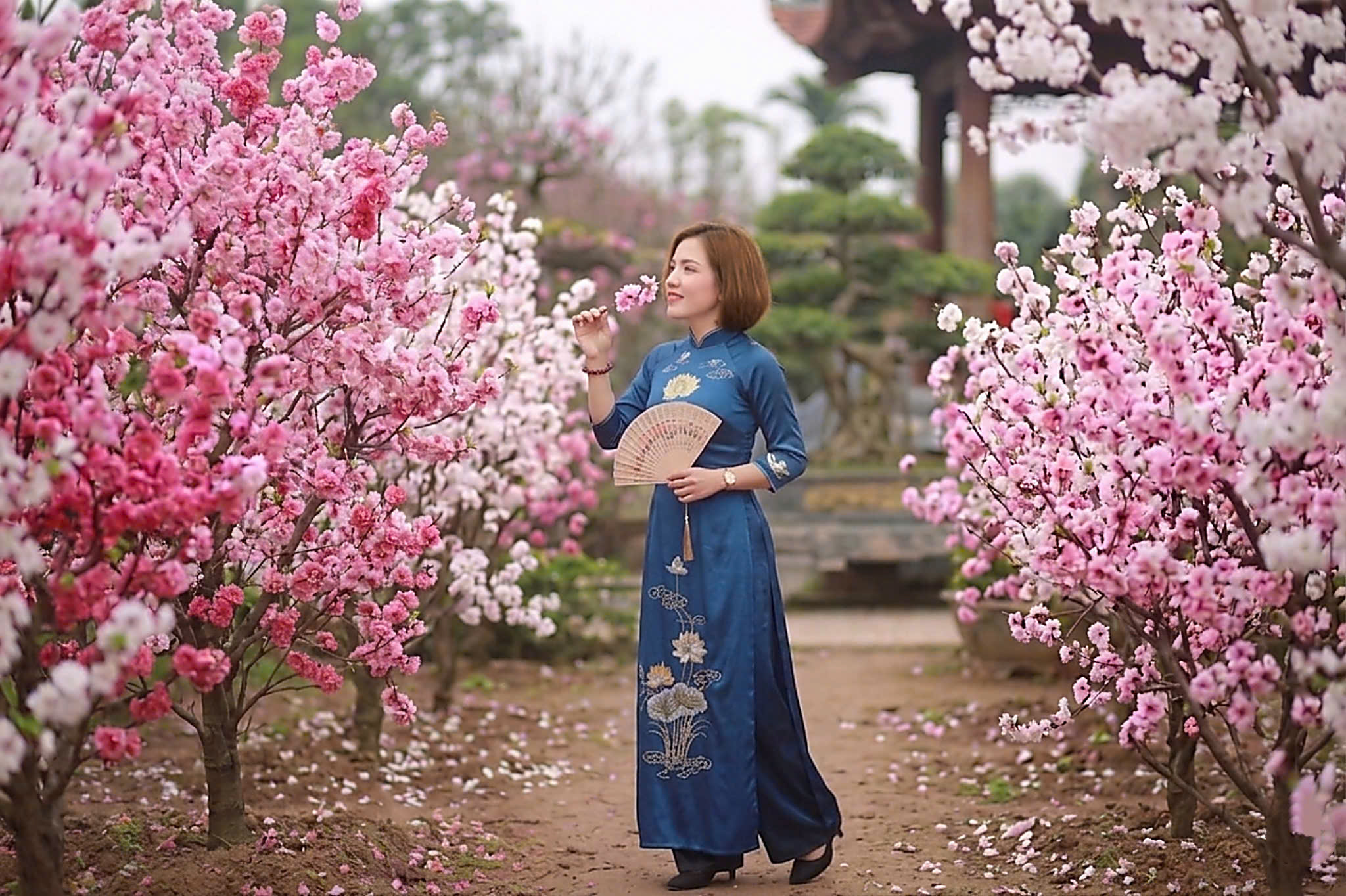 KH66851 | Nữ kết bạn bốn phương Hà Nội 1992 | M26-TT44 | 3.000.000 đ, kết bạn