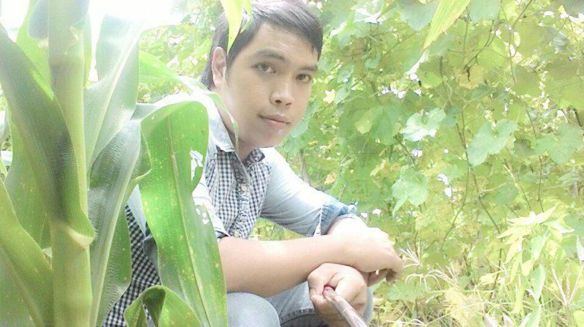 Thanh