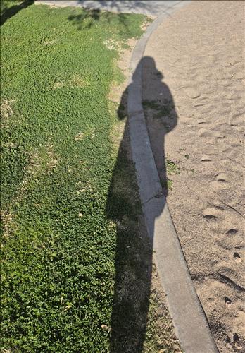 Nửa Là Thương Đau