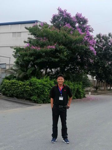Dinh