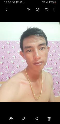 Le Minh phung