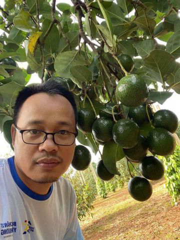 H Minh