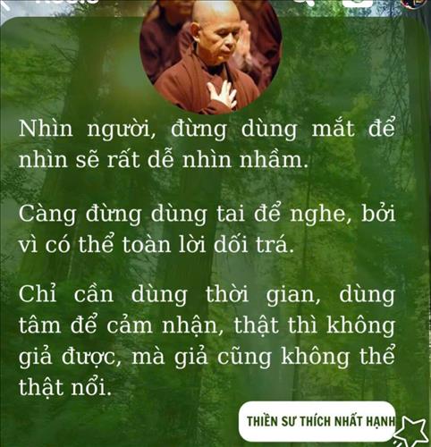 Gió vô tình
