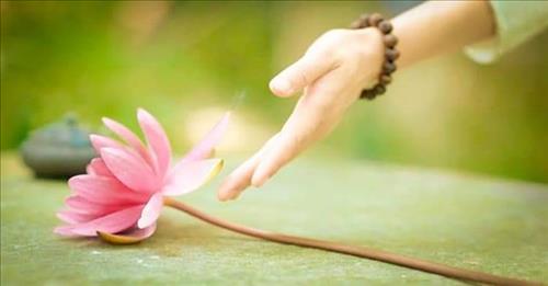 Trần thị ngọc ngà