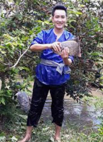 Phong