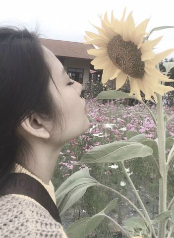 An Nhien