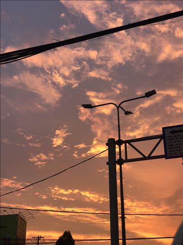 Mộc Trà