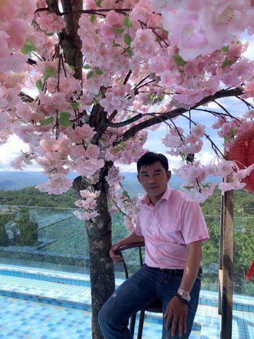 Thanh tùng