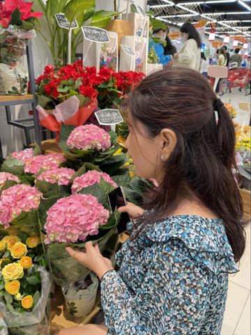 Thảo