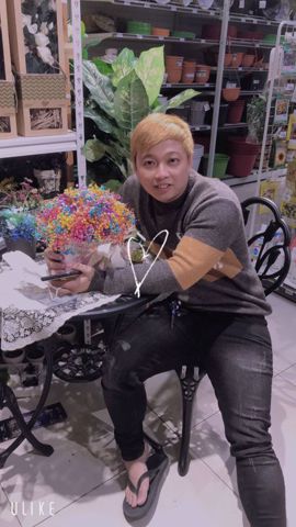 Nguyễn thanh phi